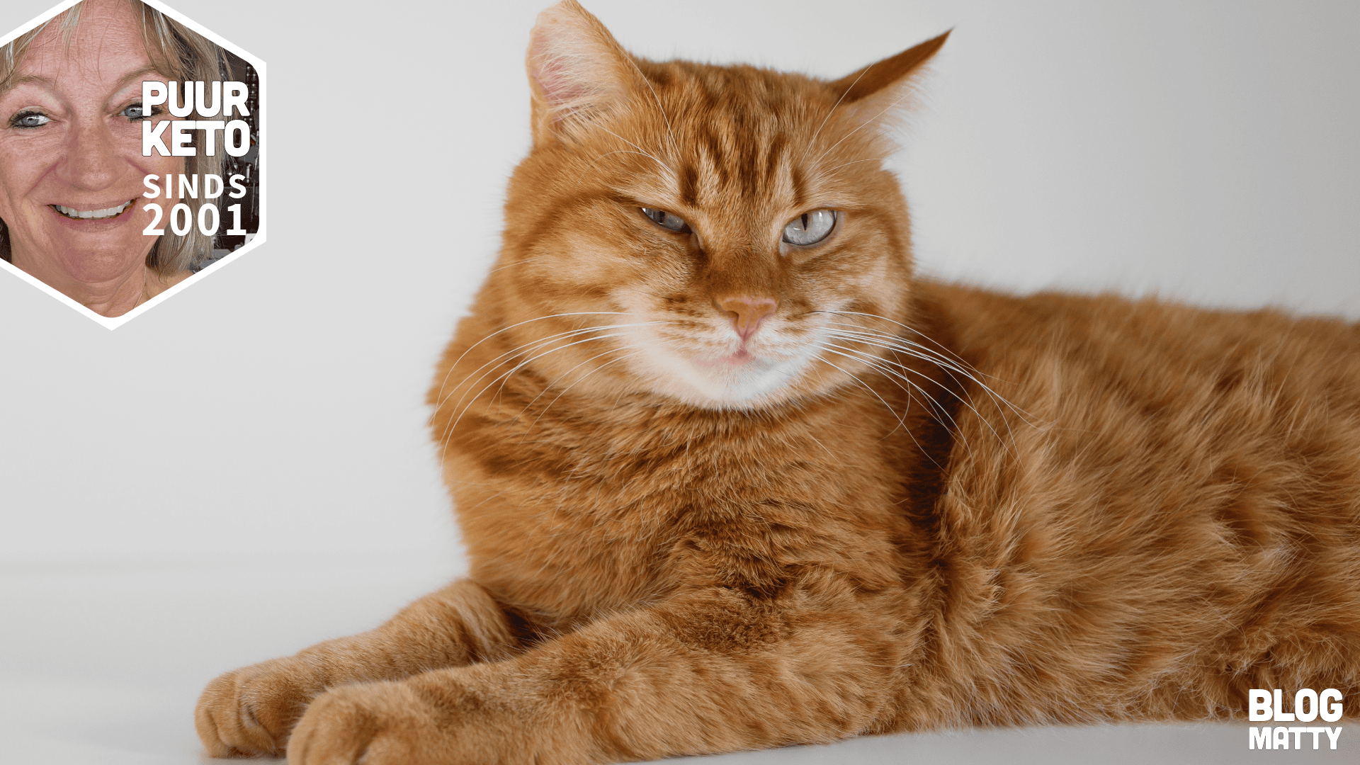 BLOG: Keto is niet voor de poes